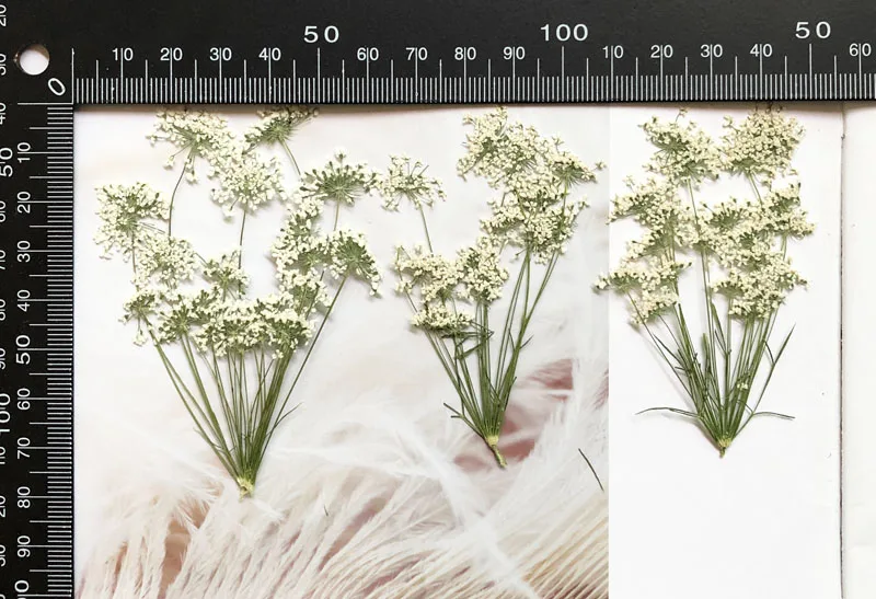 5-7 ซม./12 pcs,หิมะเล็กๆดอกไม้ - Craft Embellishments บทวิจารณ์และราคา