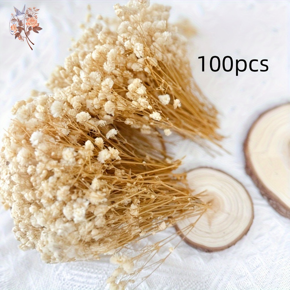 ดอกยิปโซฟิล่าแห้งขนาดเล็ก 100  - Craft Embellishments บทวิจารณ์และราคา